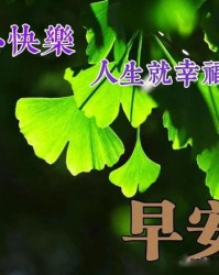 释怀心情的后面怎么组词