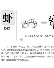 怎么组词查