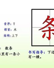 一条的条怎么组词(一条条怎么组词语)