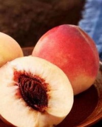 陶怎么组词桃子的桃