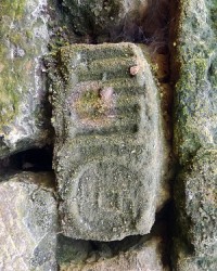 昌字怎么组词(昌字咋组词)