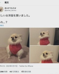 给我买个狗怎么组词