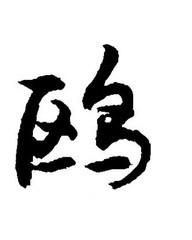 渠组词(渠组词怎么组)