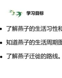 飞燕子的融怎么组词