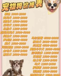 购买购买的狗怎么组词