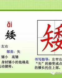 高矮的矮组词(高矮的矮字怎么读)