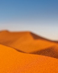 王字的组词(王字的组词怎么)