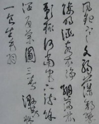 诗字开头怎么组词