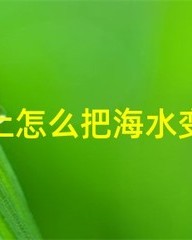 荒怎么组词(荒怎么组词语和拼音)