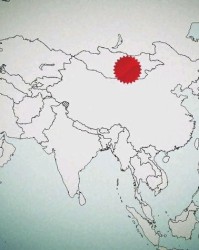 鸟龙的龙可以怎么组词