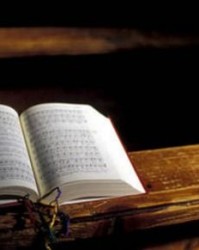 鹃怎么组词两字