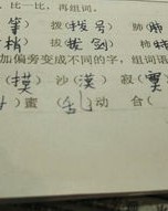 动物的舌怎么组词