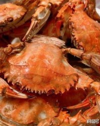 螃蟹的蟹盖怎么组词