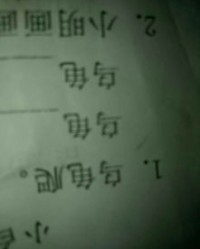 规则的龟可以怎么组词