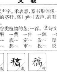 稿怎么组词(稿怎么组词部首)