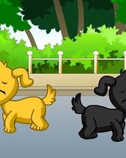 听汪汪怎么组词