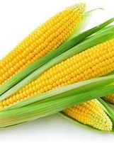 欲怎么组词不是玉米的玉