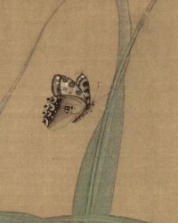 蜻蜓婷婷怎么组词