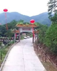 怎么组词野