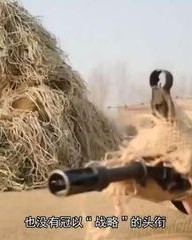 筒组词语(筒的组词怎么组)