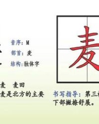 麦字组词有哪些(麦的组词怎么写)