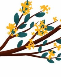 柜怎么组词桂花的