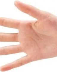 手掌的长还可以怎么组词