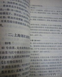 会种的会组词怎么写