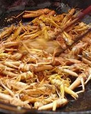 蚂蚱怎么炸的组词