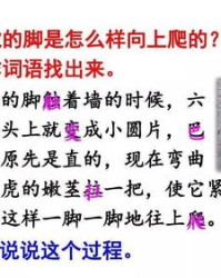 使劲叶的叶怎么组词