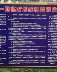 摊怎么组词摆摊的摊