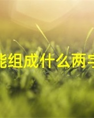 恩怎么组词语(恩 怎么组词)