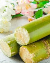 甘蔗的的甘怎么组词