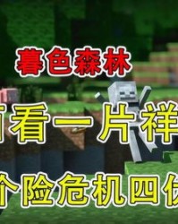 冒险的险组词该怎么组