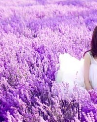 紫色的紫怎么组词