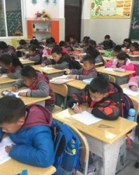 局怎么组词语(局字怎样组词)