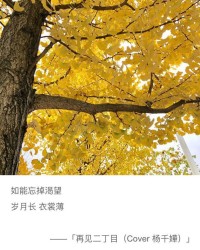 看的组词是什么(看的组词是什么什么怎么写)