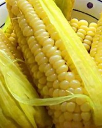 玉米玉米的玉怎么组词