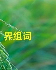 界怎么组词(界怎么组词组)