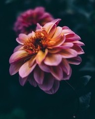 勿的组词(勿的组词和部首)