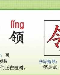 领带的领组词(领带的领组词怎么组)