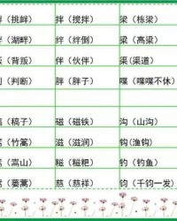 衅怎么组词(侮怎么组词组)