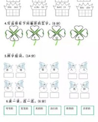 丽字怎么组词(丽字怎么组词和拼音)