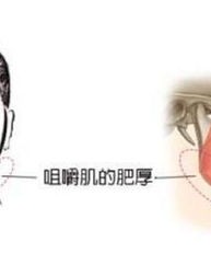 你的鼻子怎么组词