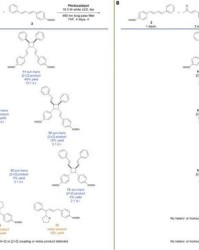 方向的相可以怎么组词