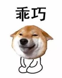 乖巧的乖怎么组词
