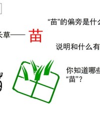 禾苗的禾组词(禾苗的禾组词怎么写)