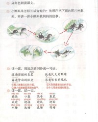 蝌蚪的蝌怎么组词