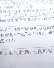 悲伤的悲怎么写怎么组词
