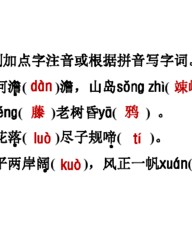 综字组词(综字组词和部首)